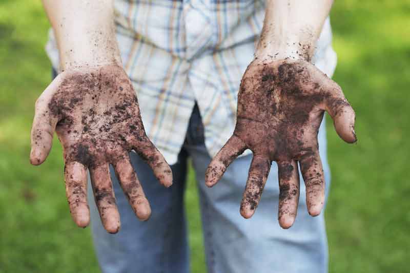 Dirty hands from gardening